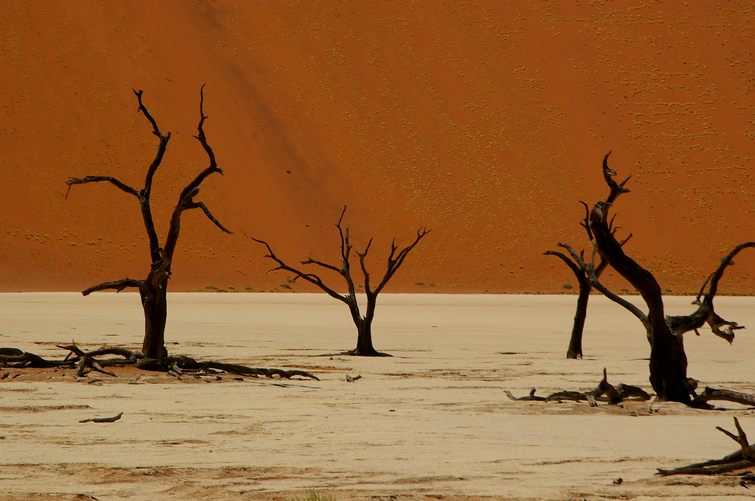 402 Namibia Okt 2006 .JPG